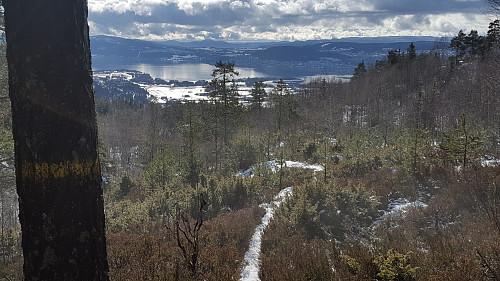 Litt utsikt mot Drammensfjorden