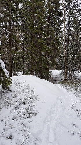 På Brennåsen