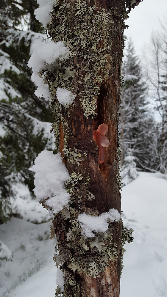 Hilsen Geir Arne..:)