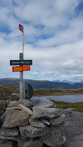 Norskå med norsk flagg
