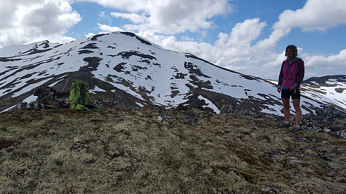 På Vasstinden