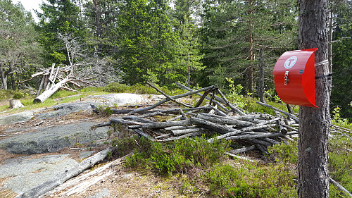Holterkollen