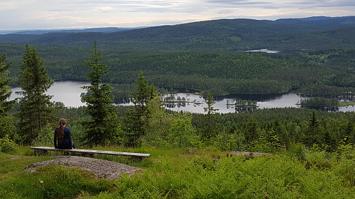 Utsikten ved Sellanrå