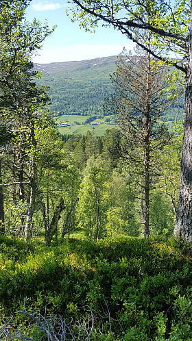 Et glimt av utsikt