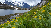 JoSo_20170716_596b5b072d3d7.jpg