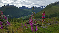 JoSo_20170810_598cc541be4d1.jpg