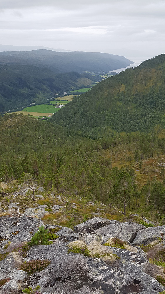 Mot Stor-Bøverdalen & Hamnesfjorden