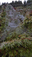 JoSo_20170912_59b7959e43e5f.jpg