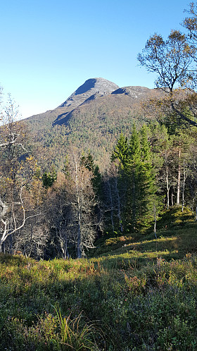 Hjelmen sett fra Jarphaugen