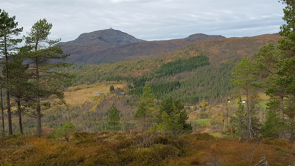 Et glimt av Reinsfjellet