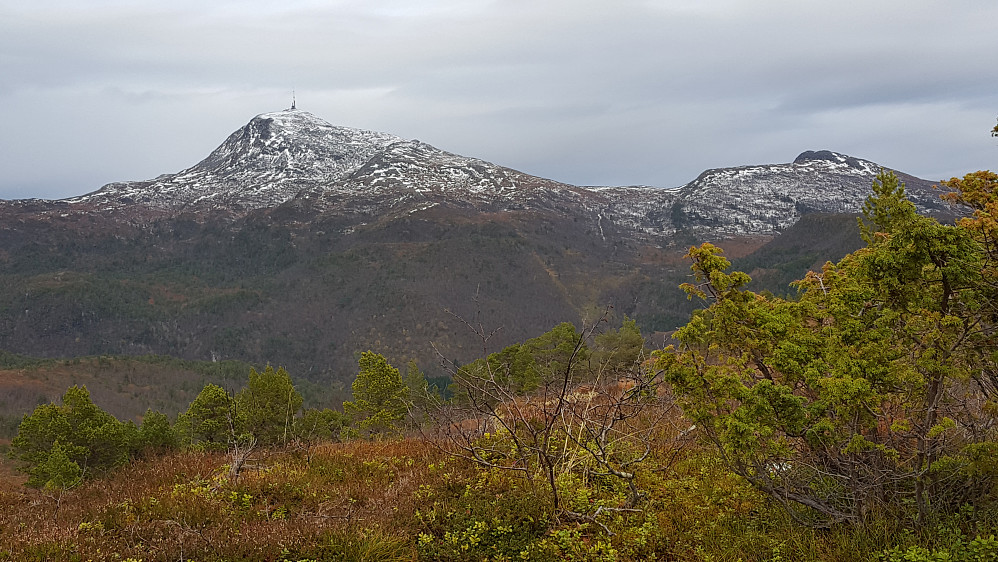 Utsikt mot Reinsfjellet i nord/nordøst