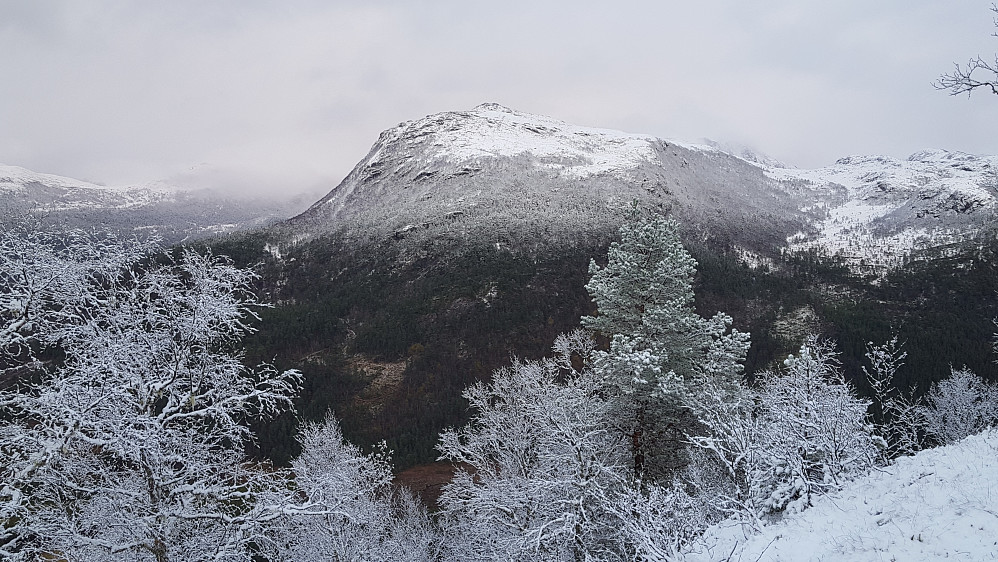 Ormsetfjellet sett fra Hisåsen