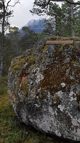 På Lundsfjellet