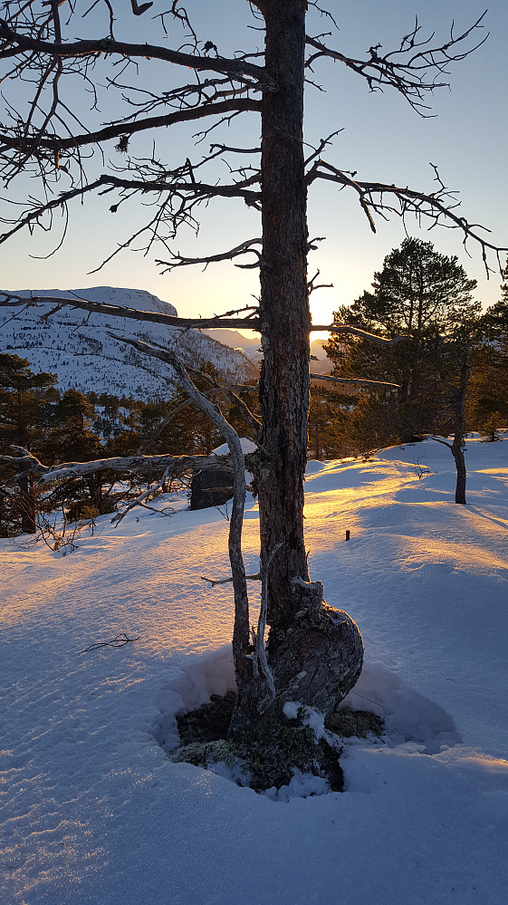 Vinterstemning på Åfløyfjellet 456 :)