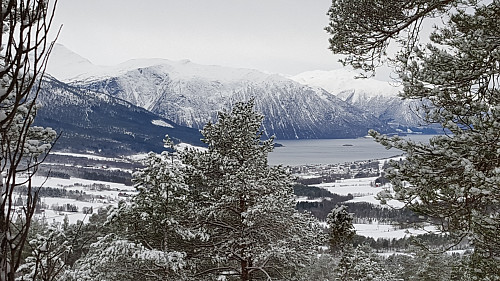 Tovhaugan - med utsikt mot Eidsvåg
