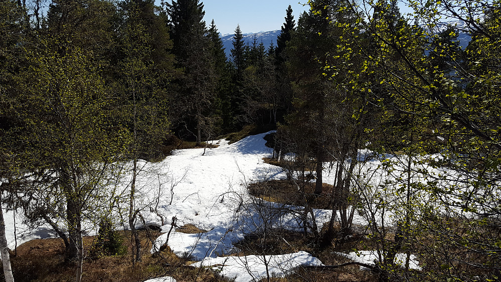Endel snø i skogen enda..