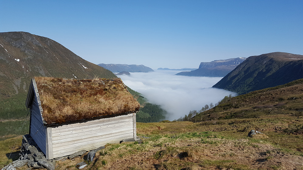 Morgentåke over Syvdsfjorden