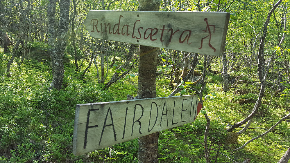 Veiviser nede i Langedalen