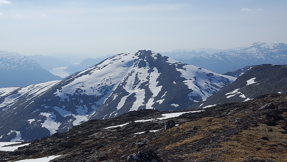 Gulkoppen