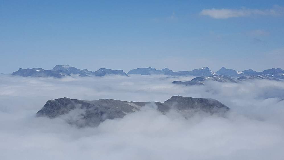 Høghornet stikker opp av tåkehavet - med Romsdalsfjell i bakgrunnen