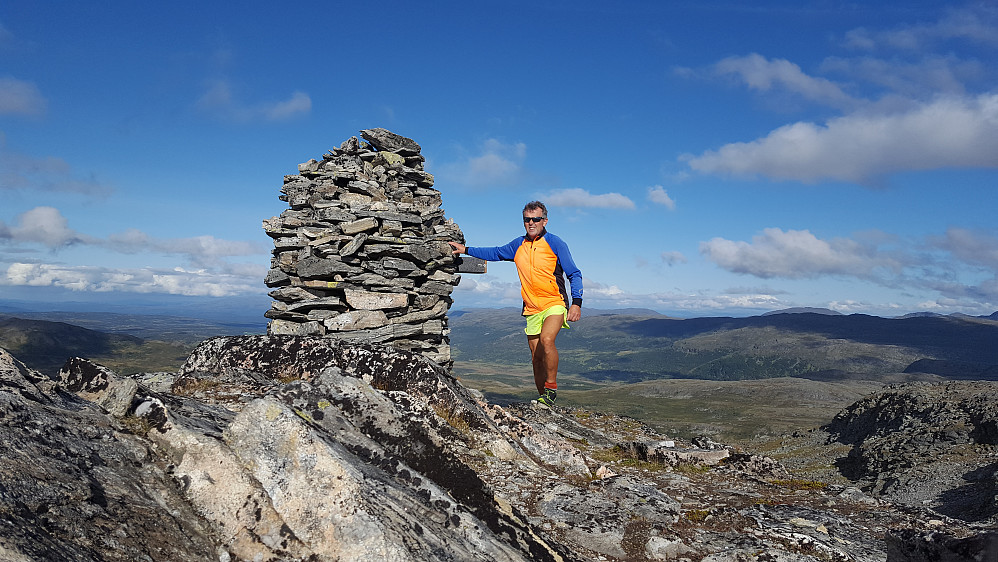 Svahøa