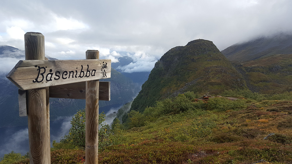 Sætrenibba i bakgrunnen