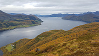 JoSo_20181013_5bc1bd9ccf39f.jpg