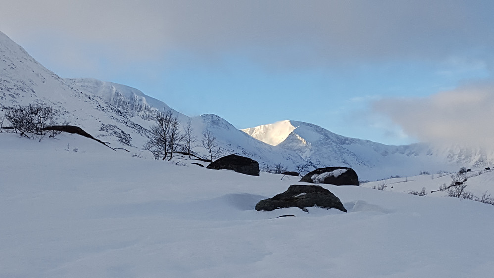 Et flott glimt av SOL på Pyramiden & Storsomrungnebba :)