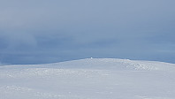 JoSo_20190113_5c3bab93059e2.jpg