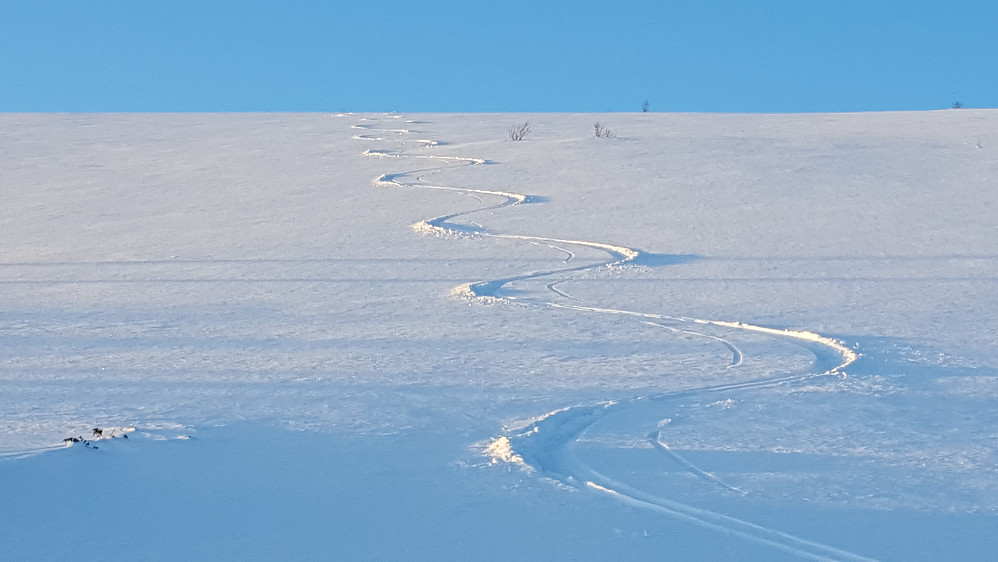Fint skiføre :)
