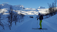 JoSo_20190203_5c5762e044b5c.jpg