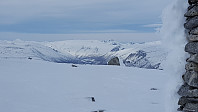 JoSo_20190226_5c7571480c1ec.jpg
