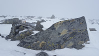 JoSo_20190407_5caa52c377e00.jpg