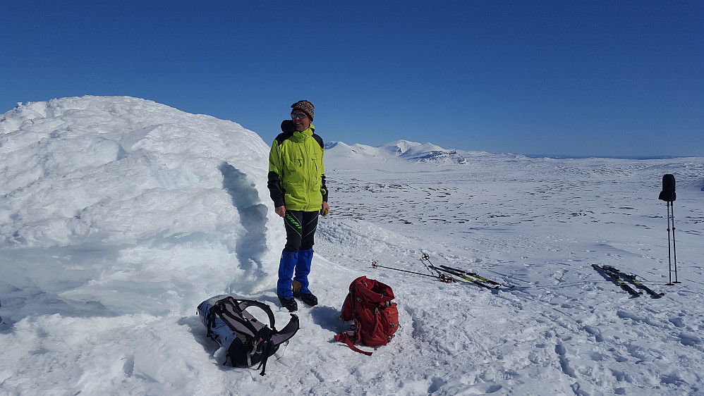 Midtre Skardsfjellet - Svenske Helagsfjella i bakgrunnen.