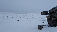 JoSo_20190430_5cc892c7cc2f0.jpg