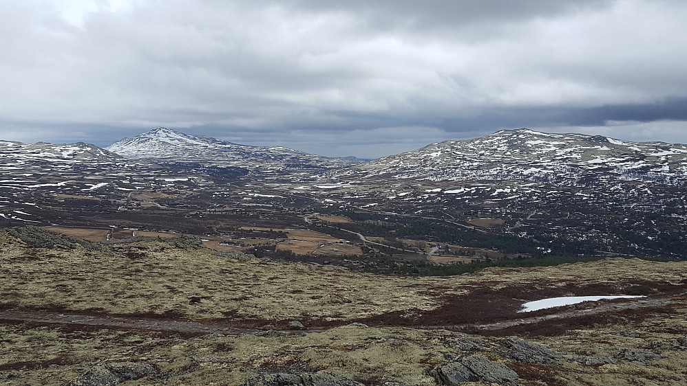 Høvringen sett fra Vardhøe