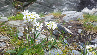 JoSo_20190621_5d0c8ab641b06.jpg
