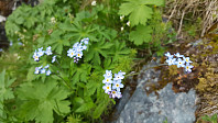 JoSo_20190621_5d0c8abd0ba3a.jpg