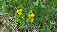 JoSo_20190621_5d0c8abed9675.jpg
