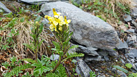 JoSo_20190621_5d0c8ac52245f.jpg