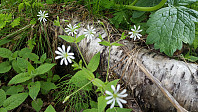 JoSo_20190621_5d0c8acadd8c2.jpg