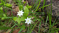 JoSo_20190621_5d0c8acd0bea9.jpg