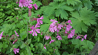 JoSo_20190621_5d0c8ad5b5280.jpg