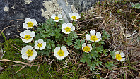 JoSo_20190621_5d0c8ada94004.jpg