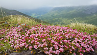 JoSo_20190711_5d27983c9c055.jpg