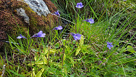 JoSo_20190711_5d27983ec2450.jpg
