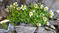 JoSo_20190711_5d279abaa6666.jpg
