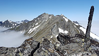 JoSo_20190714_5d2a5f7d53847.jpg