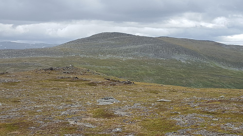 Svahøa