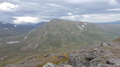 Høghøa